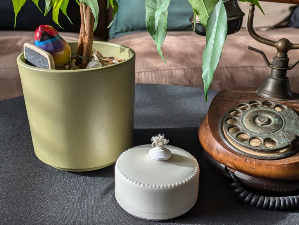 Bougie eternelle 04 122723240 portrait moyen