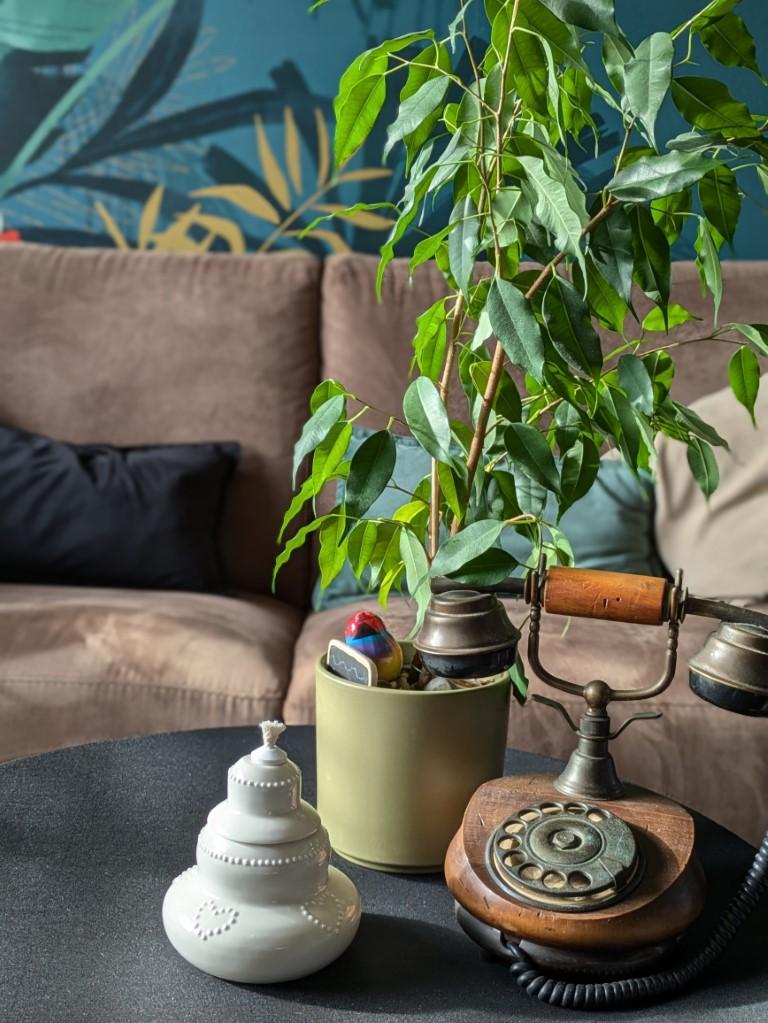 Bougie eternelle 06 131234 portrait moyen